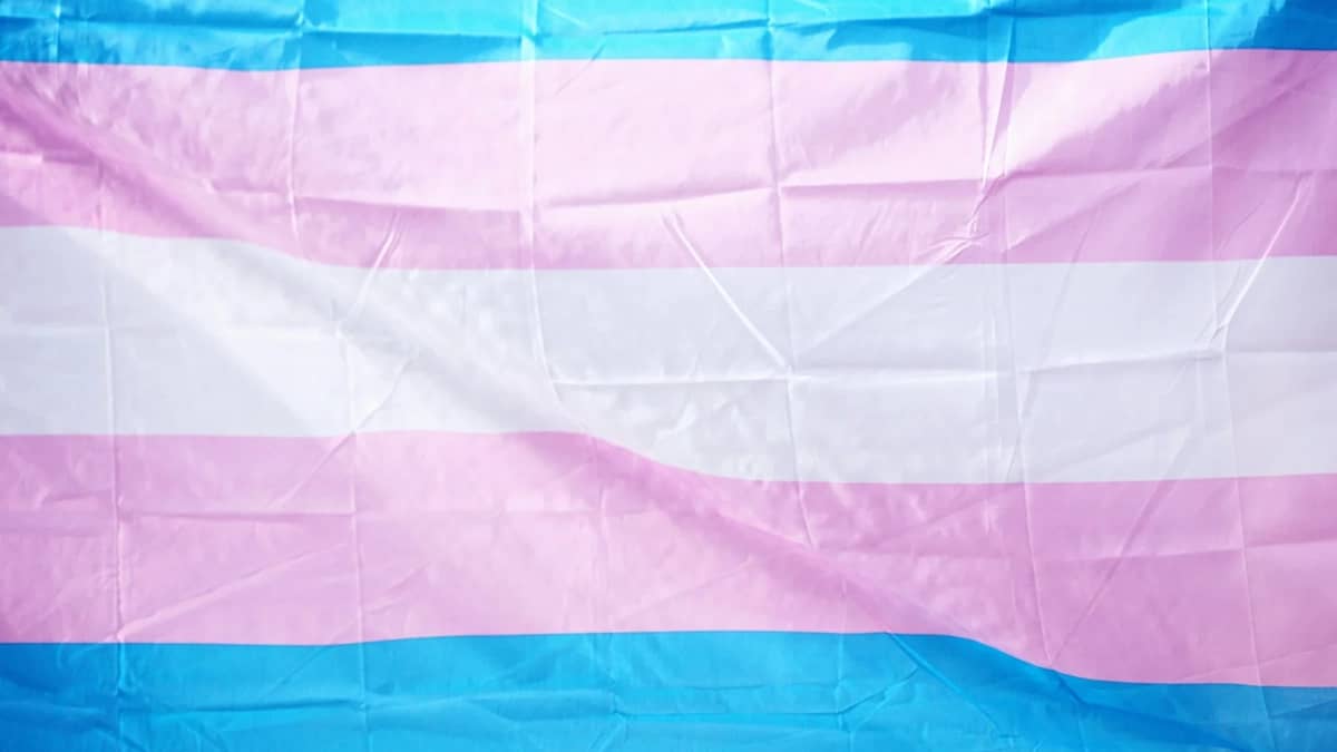 blue and pink flag