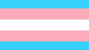 Transgender - USA