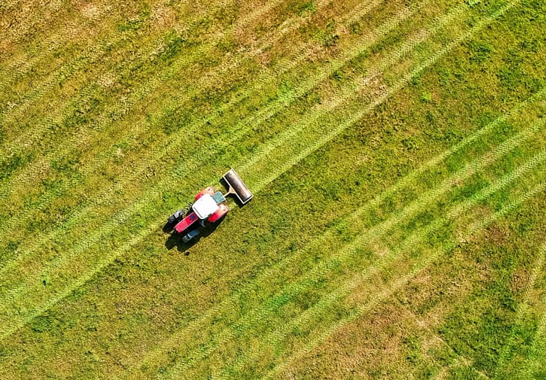 white and black truck on green grass field during daytime